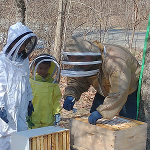 photo of our family beekeeping