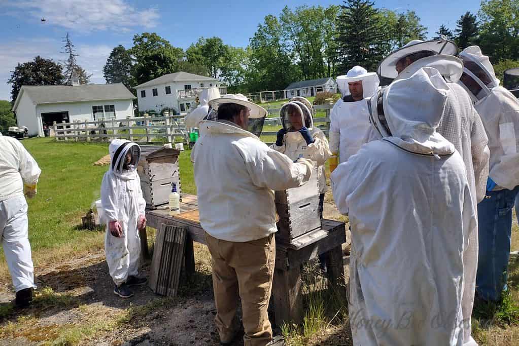 Photo of beekeepers at an apiary event for a bee club.
