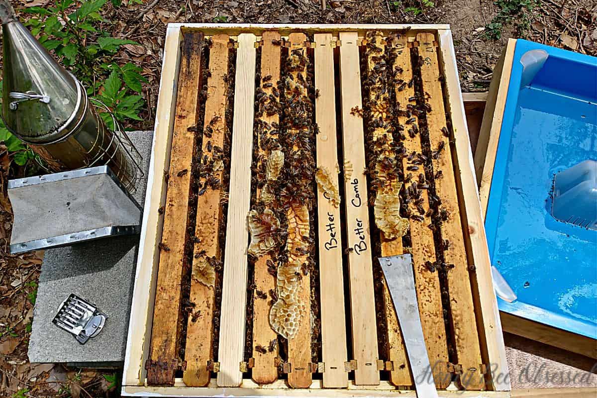 Photo of from above a beehive with beekeeping equipment.