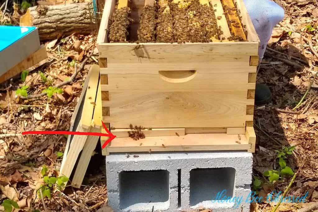 Photo of a beehive. Arrow is pointing to the Entrance Reducer