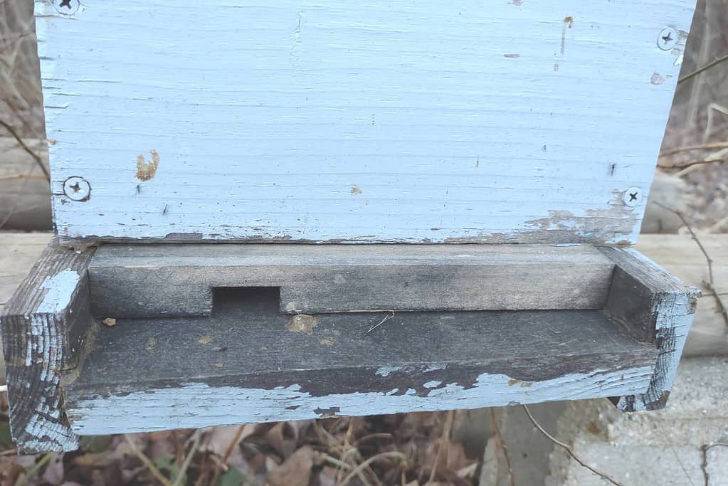 The photo shows an entrance reducer on a 5-frame beehive.