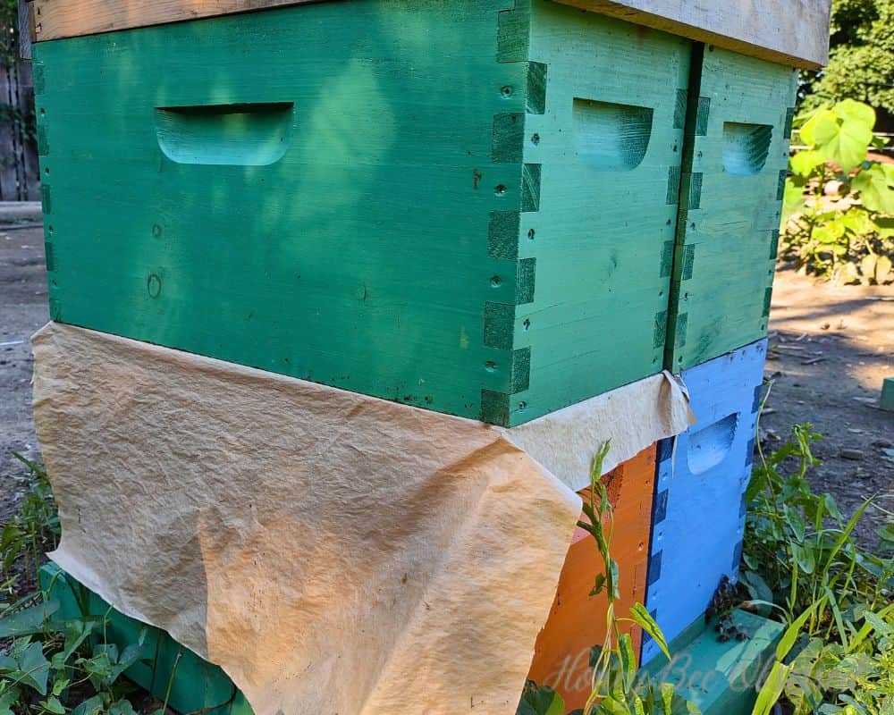 Photo of a stacked hive with a piece of paper between to show a paper combine.
