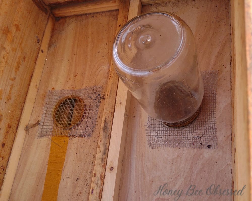Photo of the inside of the hive box where we feed bees in the late fall.