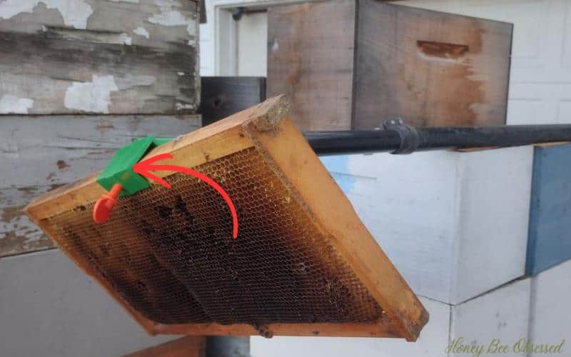 Photo of the Swarm Reacher attached to a pole and a drawn comb frame.