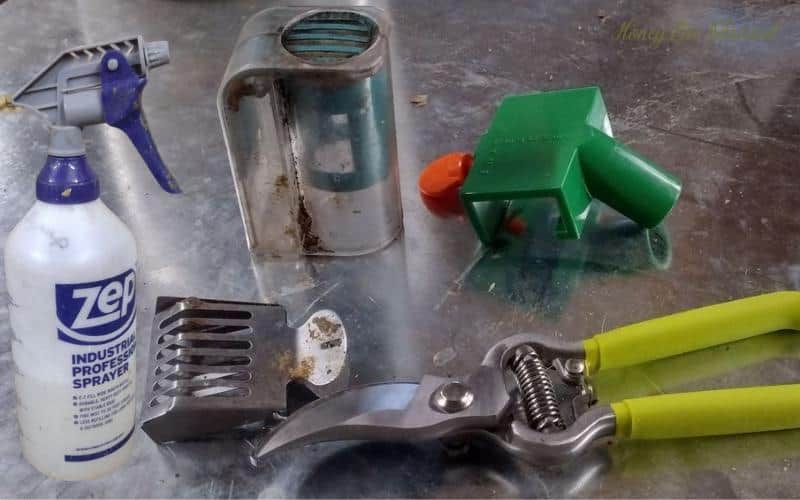 Photo of queen clips. the Swarm Reacher, pruners, and a spray bottle of bee syrup.