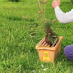 Who You Gonna Call? Swarm Catchers: Bee Rapid Response Kit
